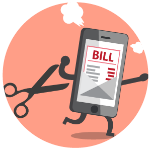 Mobile Phone Bill Review